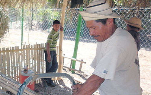 <p>Beneficios. Es una gran oportunidad para los campesinos.</p>