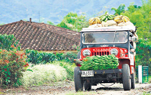 <p>Característico. Sus tradicionales Jeeps son emblemáticos en esta región.</p>