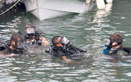 <p>Flotando. Muestran su capacidad de buceo.</p>