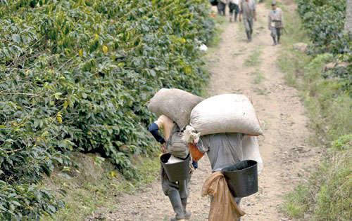 <p>Los productores consideran que este es un problema que se agudiza con el pasar de los años, sin que vean mejorías.</p>