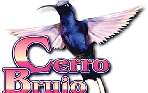 <p>En Cerro Brujo se realizan con regularidad exposiciones de arte y presentaciones de jazz, en vivo. El lugar, en general, también está ambientado con obras de artistas locales (reservaciones 6669-919).</p>