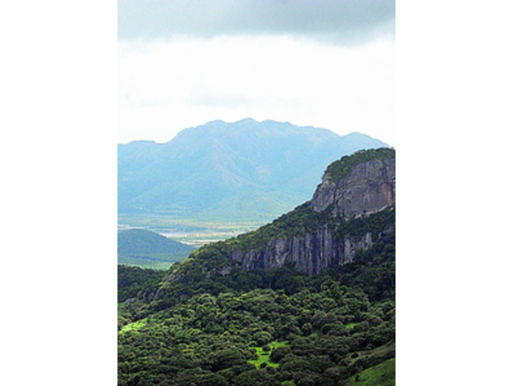 El Parque Chagres, en el Canal de Panamá, es otro sitio ideal para practicar esta disciplina por su esplendorosa vegetación.(Carlos Castro)