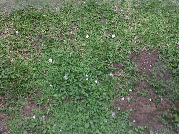 Granizo en Arraiján. Foto/Cortesía
