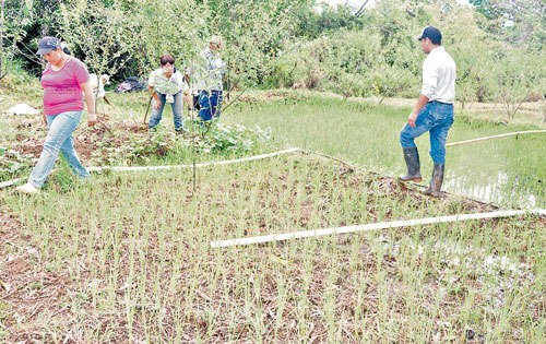 <p>Unidad. Campesinos y voluntarios en plena faena.</p>