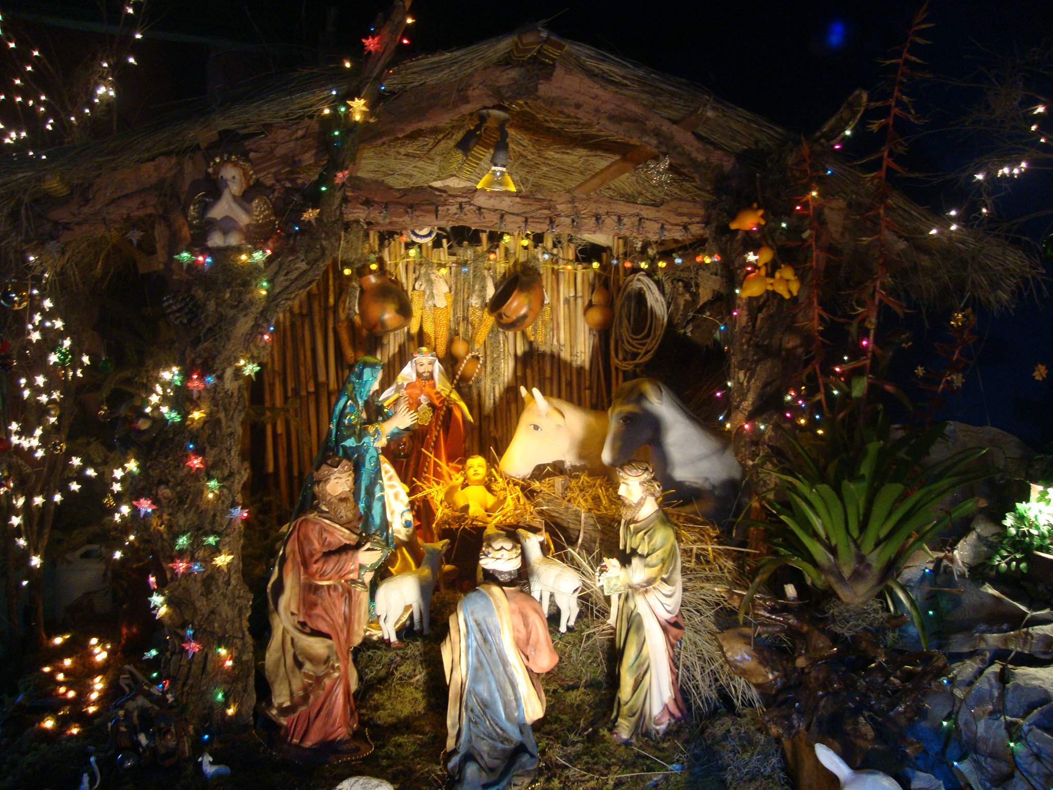 Nacimiento. <br>