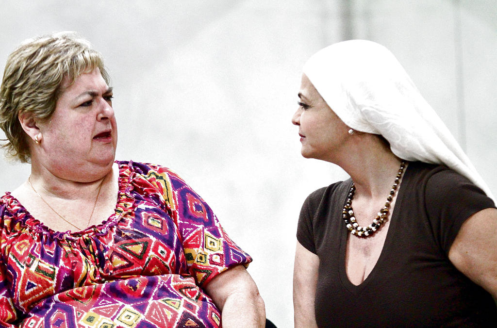 Ensayos. Sor Catalina y Sor Difusa. ¿Elucubrando?()
