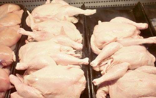 <p>Aves. El pollo limpio aumentó de precio en agosto.</p>