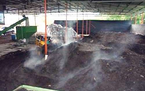<p>Ambiente. Todos sus productos son en pro del ambiente.</p>