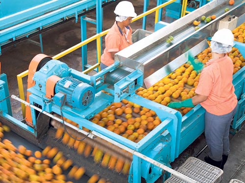 <p>Desarrollo.Los jugos de frutas, concentrados y mermeladas son exportados a Estados Unidos, Europa y el Caribe.</p>