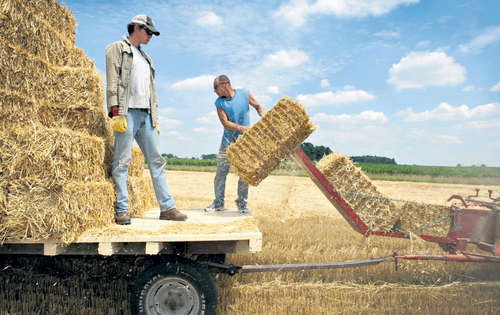 <p>Agropecuarios. Ascendieron a 28% del total.</p>