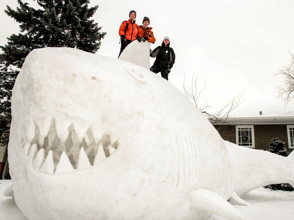 3 hermnos Connor, Trevor Austin Bartz (i-d) hicieron un tiburon de nieve de 16 pies en su patio en New Brighton, Minn. el 1 de enero. Foto/Star Tribune, Glen Stubbe