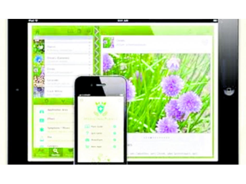 Es una base de datos muy llamativa con más de 250 flores en su archivo. Puedes buscar flores por nombre, significado, mejor momento para regalarlas, colores, entre otras.
