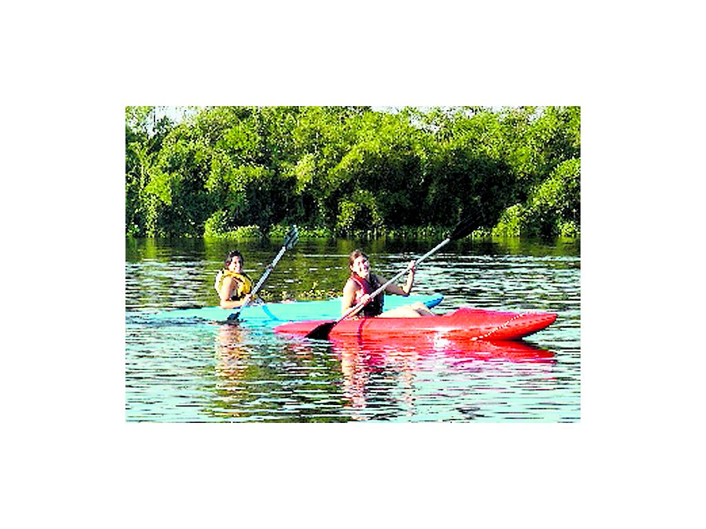 El Parque Nacional Soberanía se encuentra en Gamboa, un poblado donde también puedes ir a realizar algunas actividades acuáticas como kayaks, paseos en bote, remos en el lago Gatún y en el Canal.()