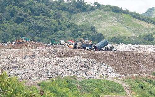 <p>Jornada. Los pepenadores llegan desde las 7:00 a.m..</p>