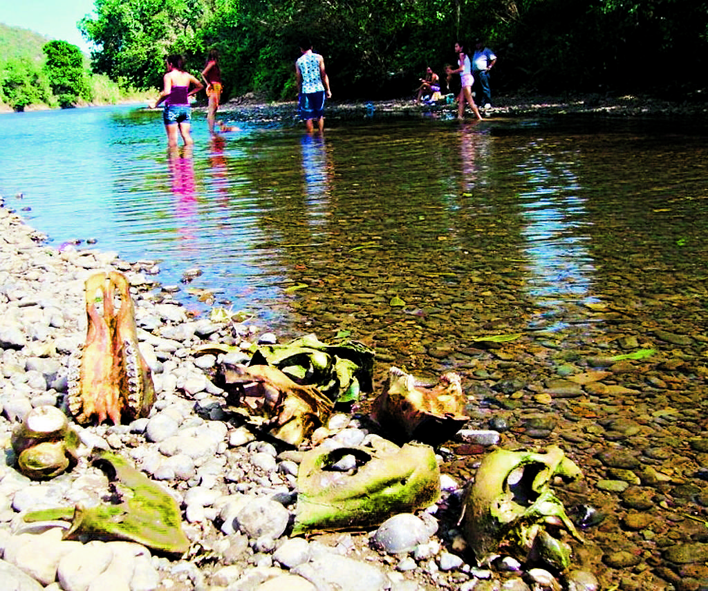 Riesgo. Los bañistas se exponen a posibles enfermedades.()