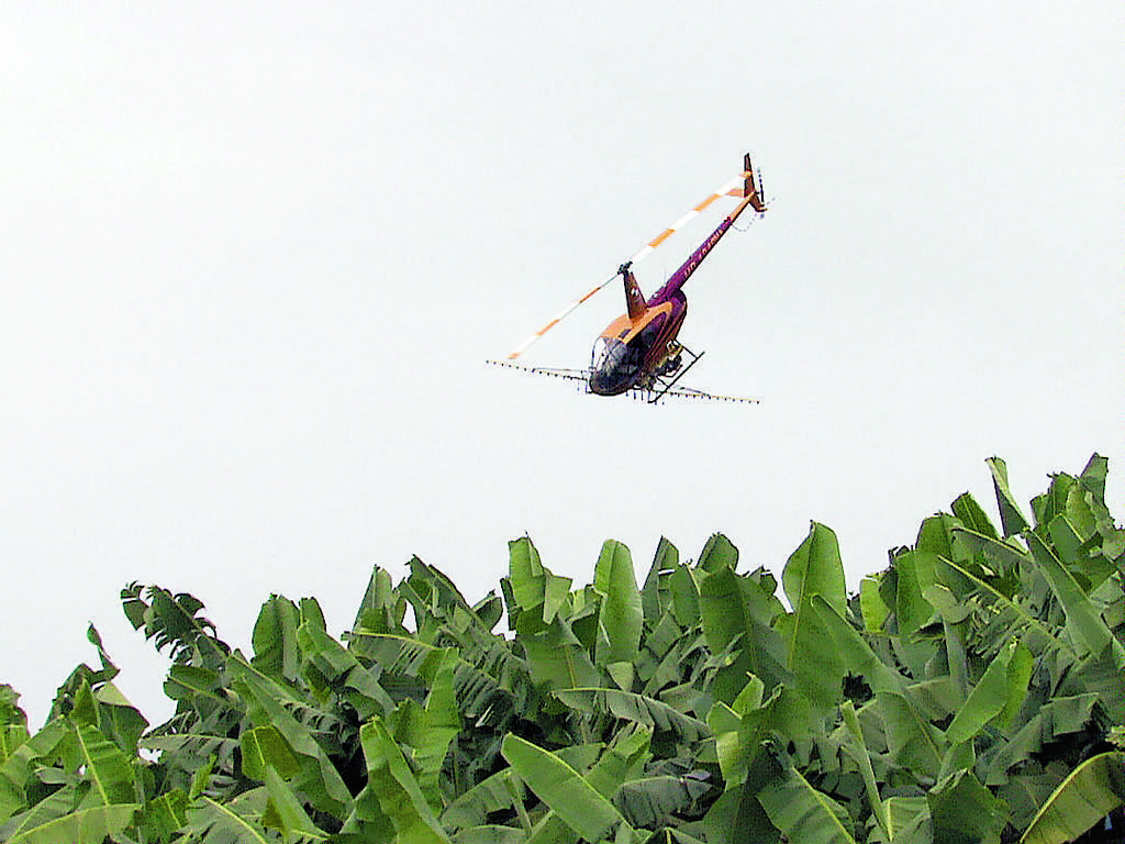 Cuidado. Las plantas son fumigadas mediante helicóptero.(LEONARDO MACHUCA)