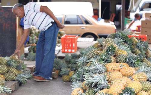 <p>Necesidad. Autoridades orientarán a los exportadores.</p>