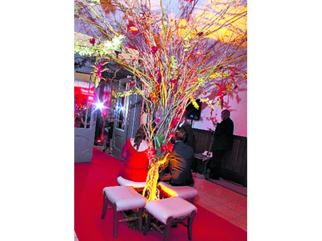 En el lobby de la recepción, en la mitad de la alfombra roja, se situaba un árbol con flores.