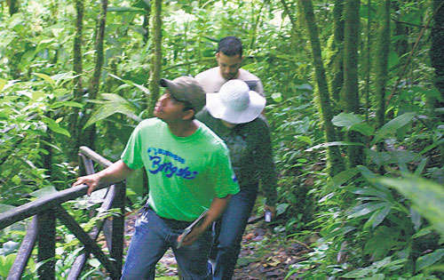 <p>Si tu gusto ecologista te invita siempre a buscar lugares naturales, visita El Copé.</p>