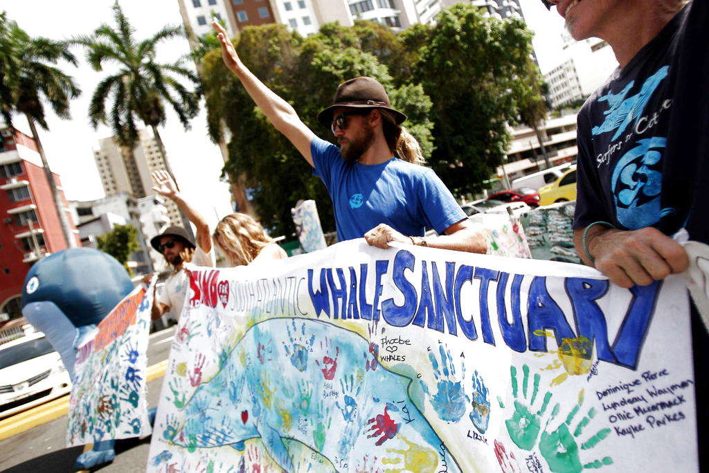 Un grupo de personas protesta hoy, lunes 2 de julio, en Panamá, para pedir la creación de un santuario para las ballenas en el Atlántico Sur. EFE/Alejandro Bolívar