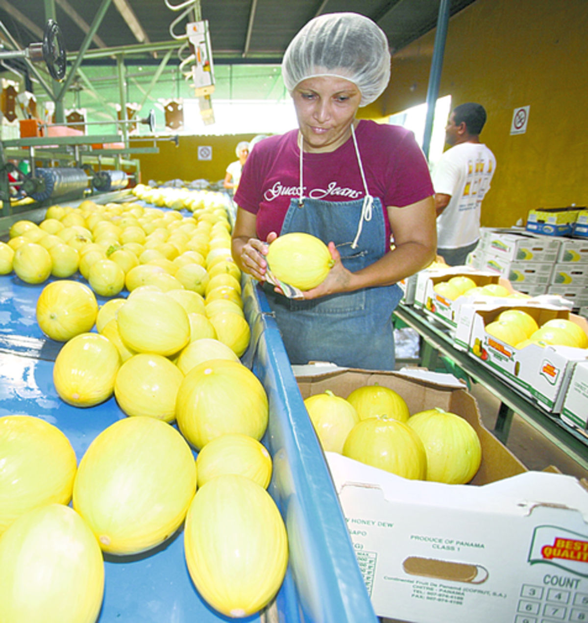 El melón es una fruta muy codiciada en países europeos.(Archivo.)