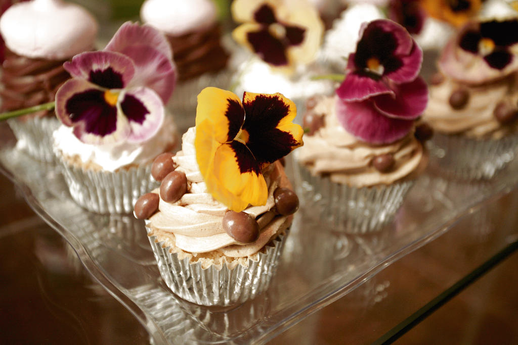Delicias. Las mejores recetas de cocina.()