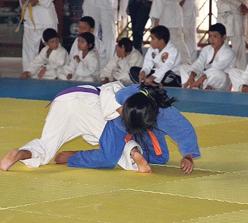 <p></p><p>Fuerza. El judo es un deporte sólo para los valientes.</p>