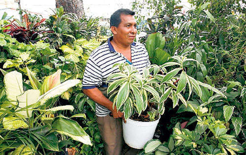 <p>Jardineros. También forman parte del sector doméstico. </p>