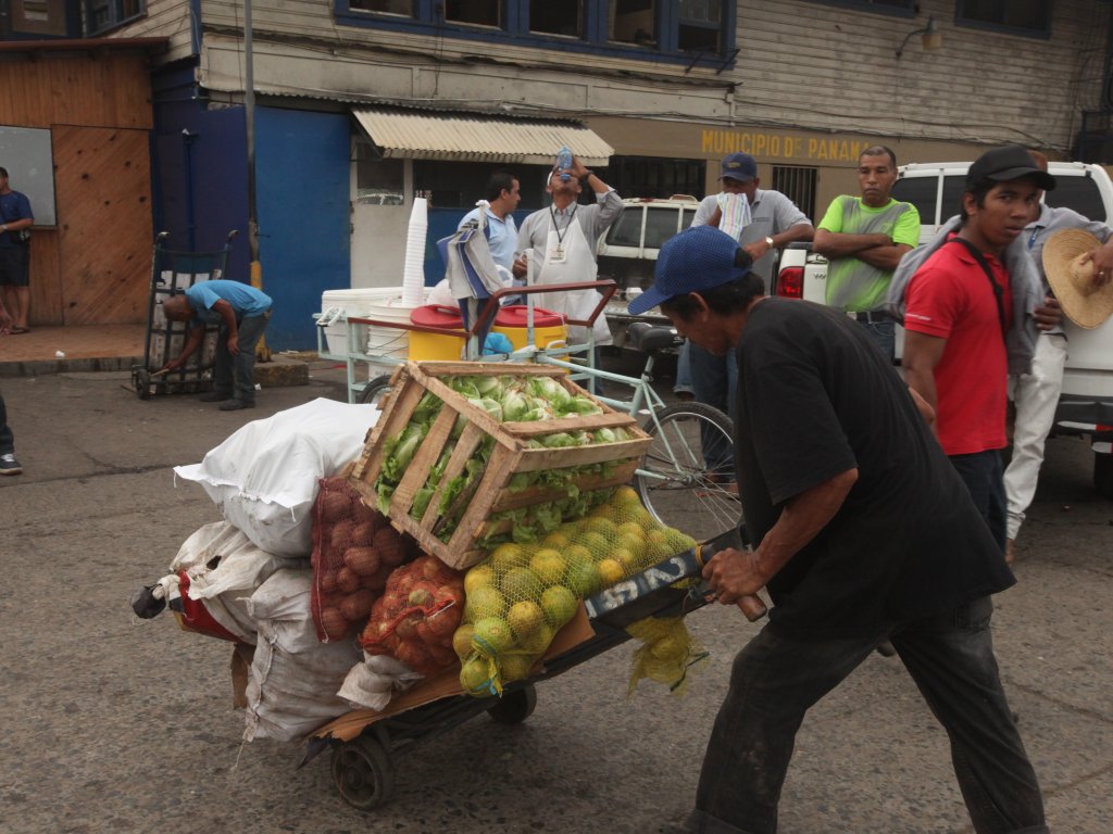 Productores realizan un fuerte trabajo Foto/Carlos Lemos