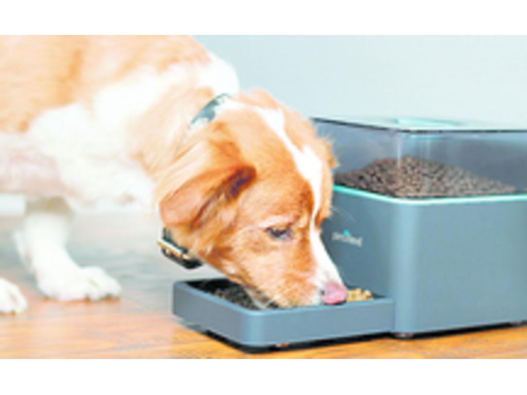 Se trata de una caja donde podemos meter 4kg de comida y mantenerla a buena temperatura. A través de una app podremos abrir el compartimiento para que el perro coma.