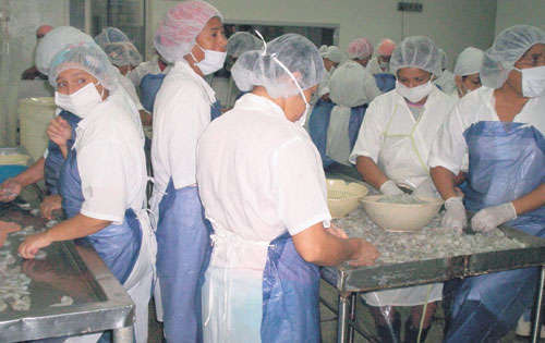 <p>Se visitarán plantas procesadoras.</p>
