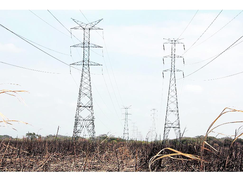 EL cañaveral pasaba por debajo de las torres de transmisión.