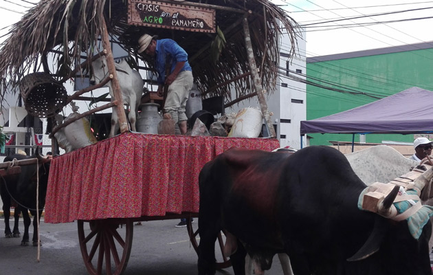 Los miembros de la ANAGAN encabezaron el desfile de carretas en La Chorrera, y aprovecharon la oportunidad para protestar. Foto/Eric Montenegro Los miembros de la ANAGAN encabezaron el desfile de carretas en La Chorrera, y aprovecharon la oportunidad para protestar. Foto/Eric Montenegro