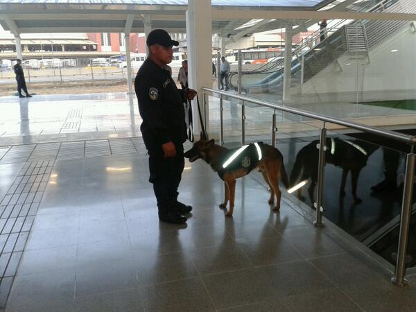 Unidades Caninas custodian la estación de Albrook.