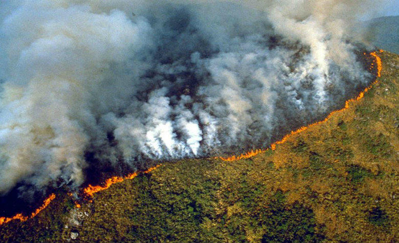 Brasil ha decretado estado de emergencia por los incendios forestales en la selva amazónica.