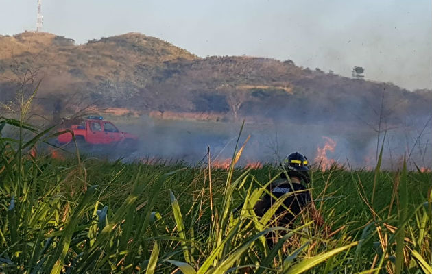 El hecho generó una pérdida económica considerable para el ingenio Calesa, en Coclé. @BCBRP