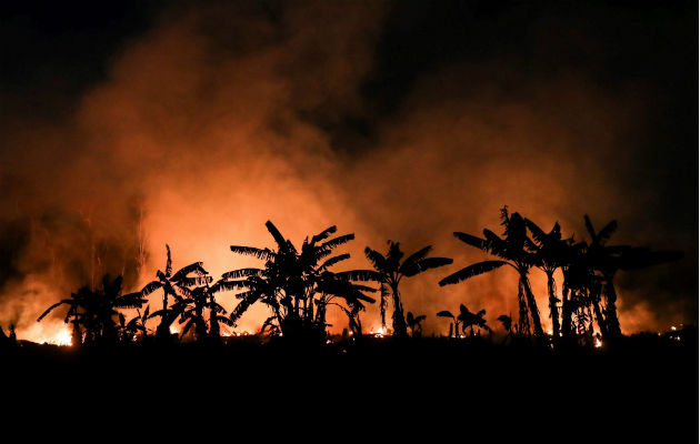 Se atribuye el incendio a la intensa sequía en la región. Foto: EFE/Ilustrativa.