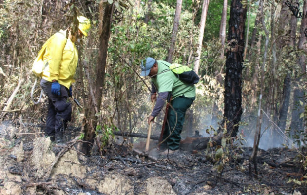 Bomberos y personal de MiAmbiente combatiendo el incendio. Foto: Víctor Eliseo Rodríguez. 