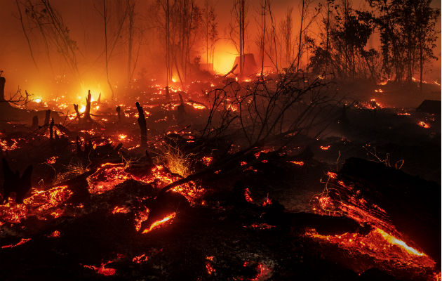 Miles de incendios arden en Indonesia, la mayoría provocados para desmontar terreno para cultivo. Foto/ Ulet Ifansasti/Getty Images.