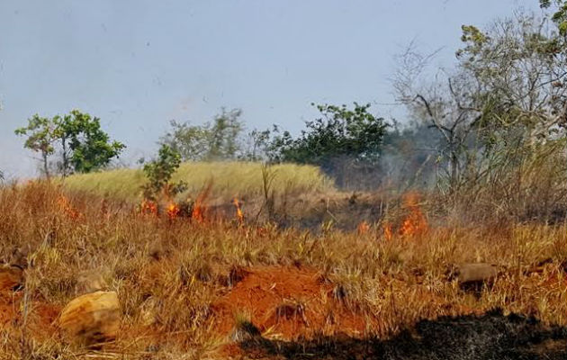 Al borde de la carretera se observan las quemas. Foto: Raimundo Rivera
