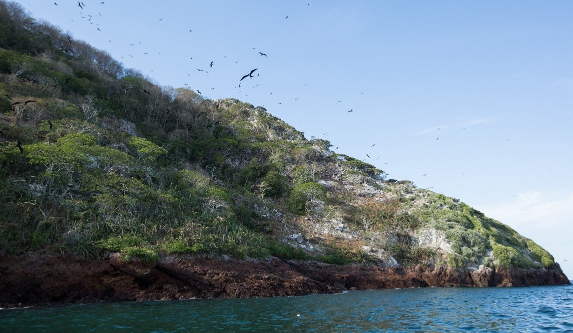 Isla Boná está ubicada en el golfo de Panamá, muy cerca del Canal de Panamá, a 10 millas náuticas de la isla de Taboga.