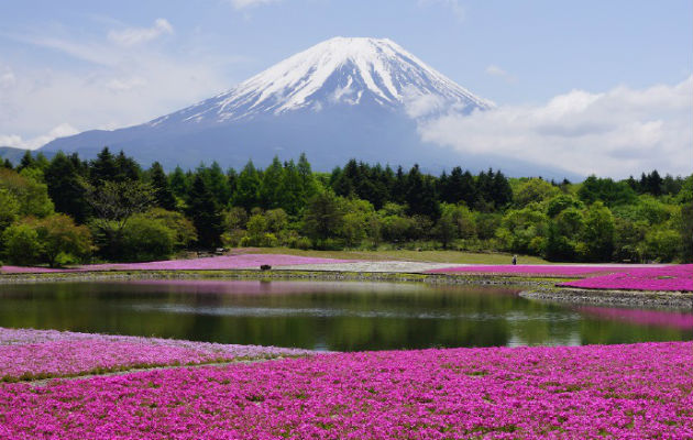En Japón no deje de visitar el Monte Fuji.  Cortesía