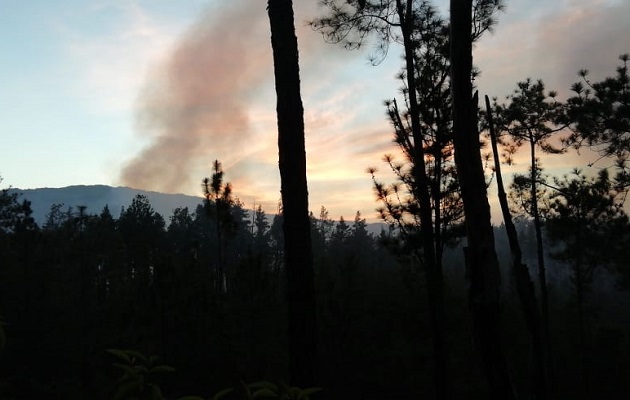 Bomberos rgistran más de 200 atenciones por incendio de masa vegetal. Foto/MiAmbiente