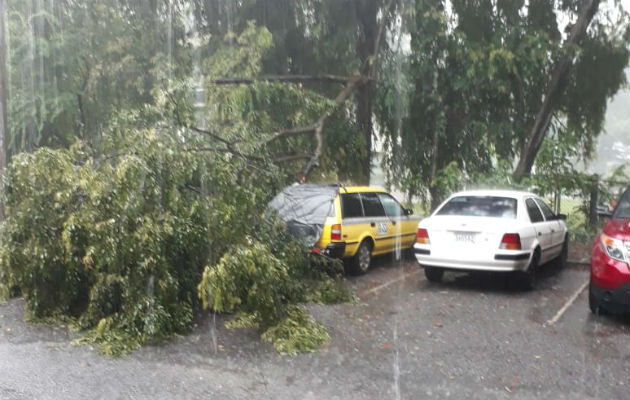 Las fuertes lluvias registradas este viernes dejó como saldo varios vías anegadas. Foto/Cortesía