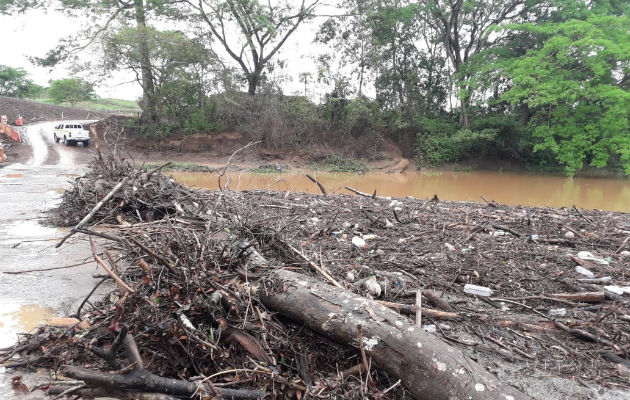 Se observaba gran cantidad de materia vegetal en el cauce del río La Villa. Foto: Thays Domínguez. ,