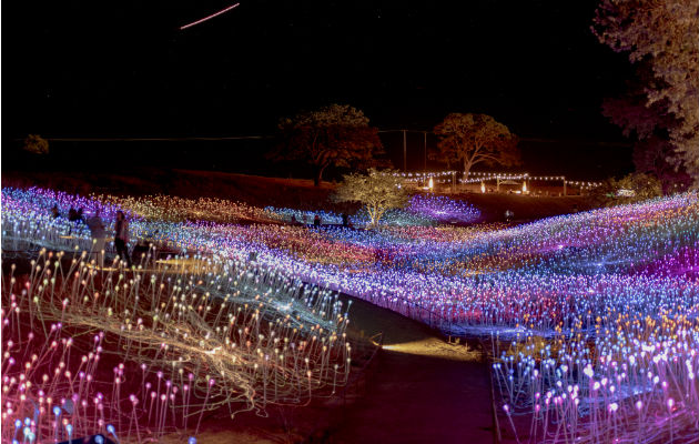 “Field of Light at Sensorio”, instalación de fibra óptica de Bruce Munro, es la primera fase de una atracción inmersiva que mezclará arte y viticultura. Foto/ Jim McAuley para The New York Times.