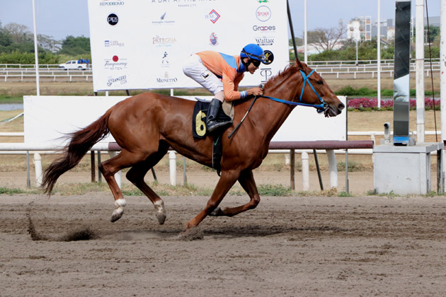 Melody irá en busca de la victoria hoy.