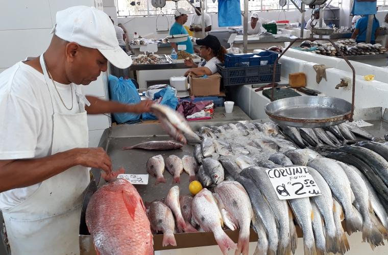 El horario de atención del Mercado de Mariscos es de 4:00 a.m. a 5:00 p.m.