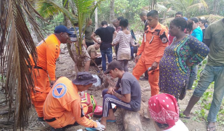 Todos están recibiendo atención médica y hasta comida. Foto: Cortesía