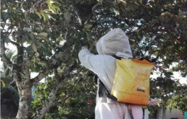 El ataque de las abejas africanizadas fue en la casa de las personas. Foto: Mayra Madrid. 